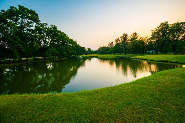 Gün batımında yeşil park. Şehir parkında çayır ve ağaçlar var.