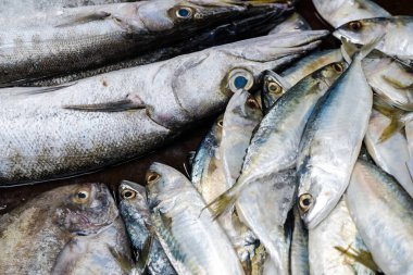 Piyasa sektöründe deniz ürünleri taze balıklar
