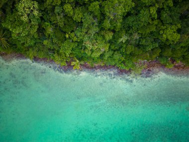 Hava manzaralı deniz plajı yeşil ağaç ormanı yaz tatili arka planlı beyaz kumsal dalgası