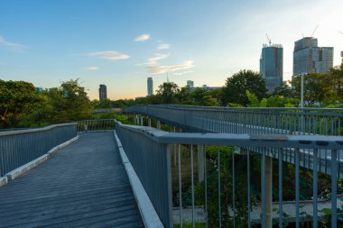 Şehir merkezindeki orman parkında Benchakitti Bangkok Tayland 'a giden yol.