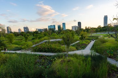 Şehir merkezindeki orman parkında Benchakitti Bangkok Tayland 'a giden yol.