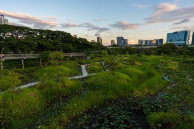 Şehir merkezindeki orman parkında Benchakitti Bangkok Tayland 'a giden yol.