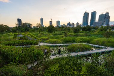 Şehir merkezindeki orman parkında Benchakitti Bangkok Tayland 'a giden yol.