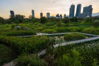 Şehir merkezindeki orman parkında Benchakitti Bangkok Tayland 'a giden yol.