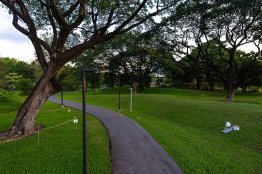 Şehir merkezindeki orman parkında Benchakitti Bangkok Tayland 'a giden yol.