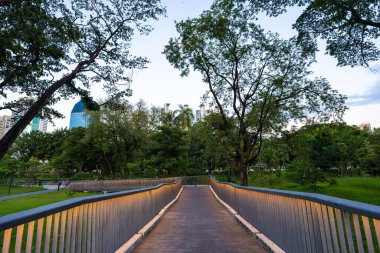 Şehir merkezindeki orman parkında Benchakitti Bangkok Tayland 'a giden yol.