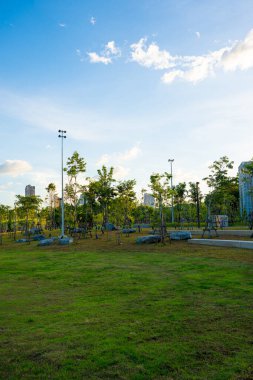 Şehir merkezindeki şehir parkında çayır yeşili çimenler. Gün batımında gökyüzü bulutlu Bangkok Thaialand.