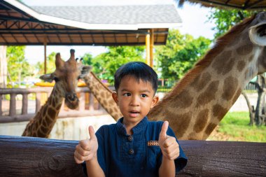 Asyalı anaokulu çocuğu hayvanat bahçesinde zürafayla eğleniyor. Hayvanlarla mutlu çocuk.