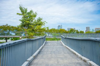Yeşil ağaç ormanları ve ofis inşaatı ile şehir parkında yürümek doğanın geçmişini gölgeliyor.