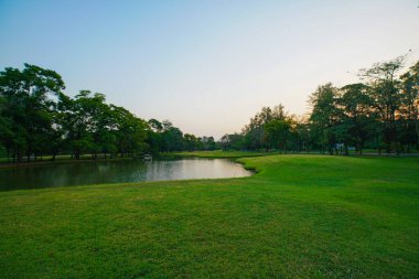 Şehir halk parkında çayır ve ağaç ile Yeşil park gün batımı
