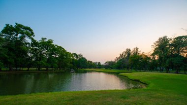Şehir halk parkında çayır ve ağaç ile Yeşil park gün batımı