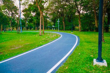 Şehir halk parkında çayır ve ağaç ile Yeşil park gün batımı