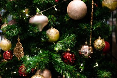 Kırmızı top asılı Noel kutlama konsepti çam ağacı bulanık arka plan, Kış tatili üzerinde hediye süslemeleri