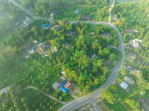 Aerial view rural road tropical rainforest village morning sunrise nature transport