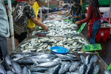 İnsanlar geleneksel balıkçılık pazarından ton balığı seçip alıyorlar.