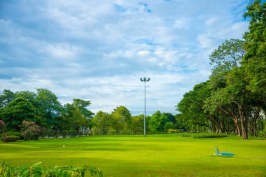 Şehir parkında yeşil çayır çimenleri Ağaç gökyüzü günbatımı aydınlık doğa manzarası