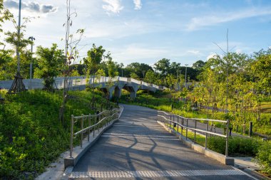 Asfalt yolda asfalt yolda yeşil ağaçlık alanda ofis binası günbatımı bulutu