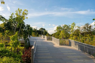 Asfalt yolda asfalt yolda yeşil ağaçlık alanda ofis binası günbatımı bulutu