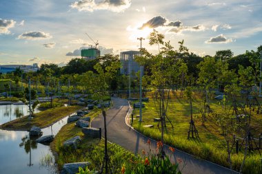 Asfalt yolda asfalt yolda yeşil ağaçlık alanda ofis binası günbatımı bulutu