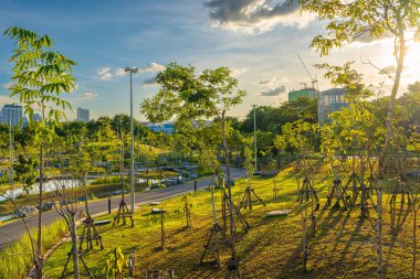 Asfalt yolda asfalt yolda yeşil ağaçlık alanda ofis binası günbatımı bulutu