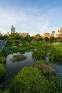 Şehir parkındaki tropik orman bataklık bahçesi Benchakitti parkı Bangkok Tayland