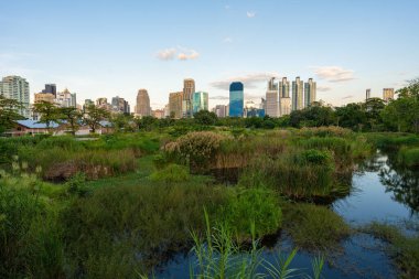 Şehir parkındaki tropik orman bataklık bahçesi Benchakitti parkı Bangkok Tayland