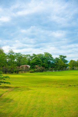 Şehir parkında yeşil çayır çimenleri Ağaç gökyüzü günbatımı aydınlık doğa manzarası