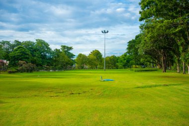 Şehir parkında yeşil çayır çimenleri Ağaç gökyüzü günbatımı aydınlık doğa manzarası