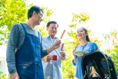 Bir grup kıdemli erkek arkadaş BBQ barbekü partisi ev bahçesinde mutlu emeklilik