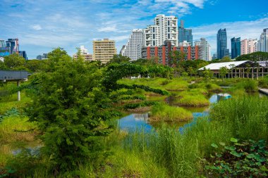 Benchakitti şehir parkı Bangkok Tayland ile tropikal yağmur ormanı mavi gökyüzü ile modern ofis manzarası