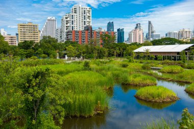 Benchakitti şehir parkı Bangkok Tayland ile tropikal yağmur ormanı mavi gökyüzü ile modern ofis manzarası