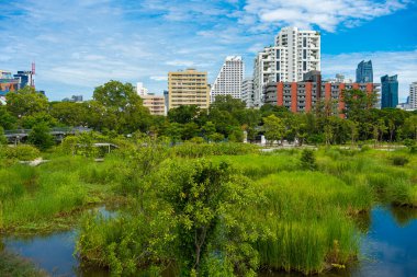 Benchakitti şehir parkı Bangkok Tayland ile tropikal yağmur ormanı mavi gökyüzü ile modern ofis manzarası