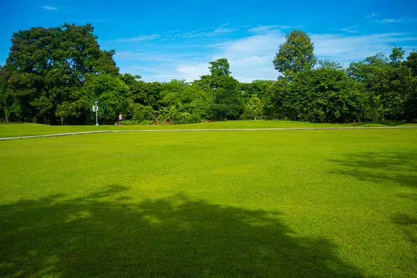 Green meadow grass field in city forest park sunny day blue sky with cloud nature landscape