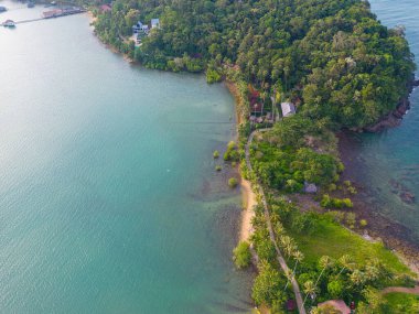 Tropikal plaj yağmur ormanları. Sükunet turkuaz okyanus hindistan cevizi palmiyesi. Hava manzaralı yaz doğa manzarası.