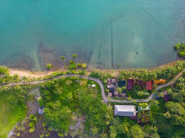 Tropikal plaj yağmur ormanları. Sükunet turkuaz okyanus hindistan cevizi palmiyesi. Hava manzaralı yaz doğa manzarası.