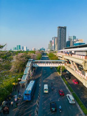 Şehir yolu Chatuchak Halk Parkı 'nda Bangkok Tayland' a giden yolda hava manzaralı pembe sakura çiçeği çiçek açtı.