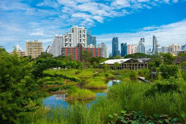 Bulutlu tropikal yağmur ormanı mavi gökyüzü, Benchakitti şehir parkı, Bangkok Tayland
