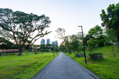 Günbatımı mavi gökyüzü, patika ve güzel ağaçlarla dolu yeşil şehir parkı, koşu yolu.