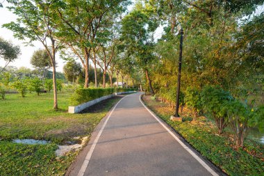 Şehir parkı yolu tropikal orman günbatımı gökyüzü arka planı