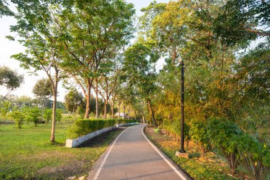 Şehir parkı yolu tropikal orman günbatımı gökyüzü arka planı