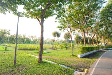 Şehir parkı yolu tropikal orman günbatımı gökyüzü arka planı