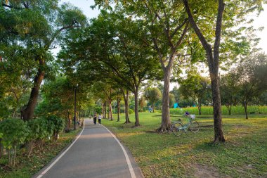 Şehir parkı yolu tropikal orman günbatımı gökyüzü arka planı