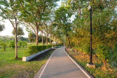 Şehir parkı yolu tropikal orman günbatımı gökyüzü arka planı