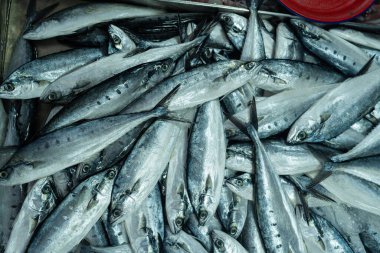 Taze deniz ürünleri geleneksel Asya pazarında satılıyor Tayland