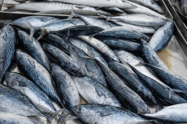 Taze deniz ürünleri geleneksel Asya pazarında satılıyor Tayland