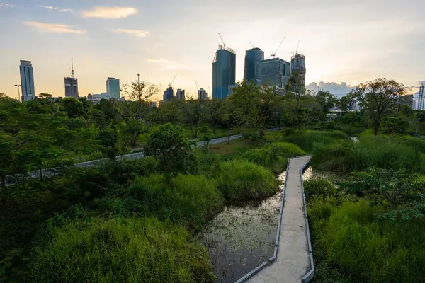 stock image Green city park with sunset blue sky, pathway and beautiful trees, running track