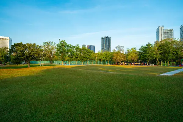 City park with green meadow grass at sunset with evening sky with clouds, nature landscape