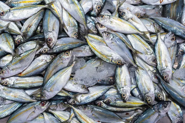 Taze deniz ürünleri geleneksel Asya pazarında satılıyor Tayland