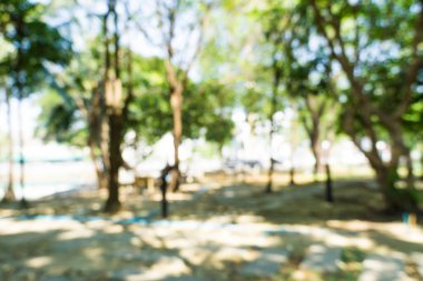 Bulanık yeşil ağaç yaprağı yaprakları arka plan, Yeşil yaprak arka plan