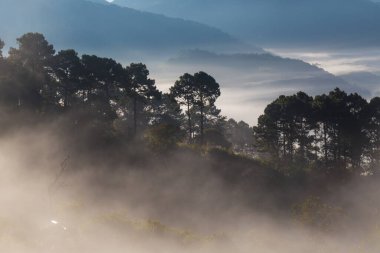 Dağ tepesinde sabah sisi, gündoğumu, doğa, tropikal yağmur ormanları.